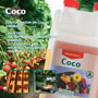COCO Handzettel