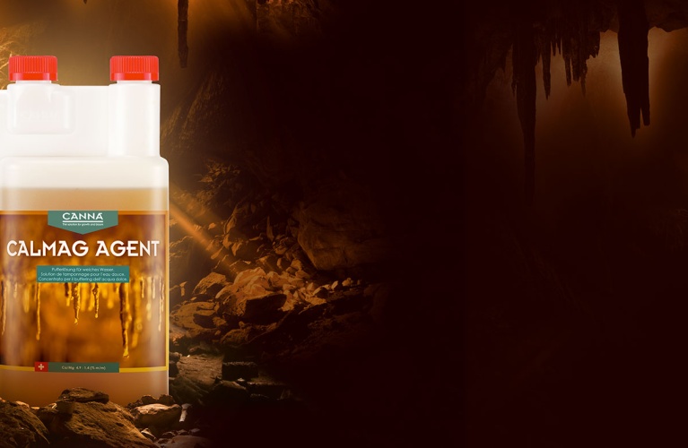 CANNA CALMAG AGENT