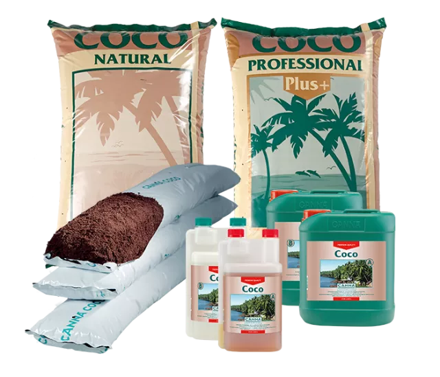 CANNA COCO