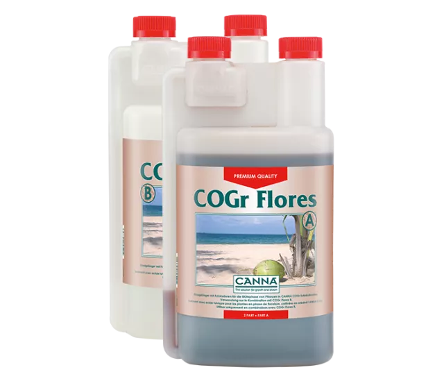 CANNA COGr Flores