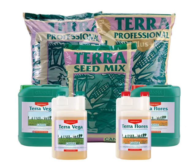 CANNA TERRA
