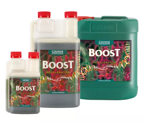 CANNABOOST Accelerator