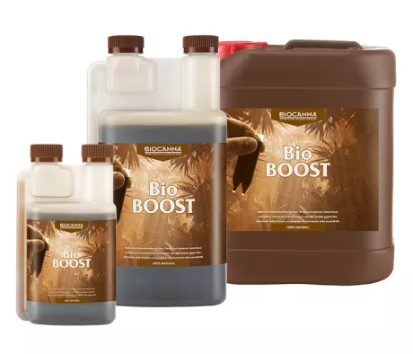 BioBOOST