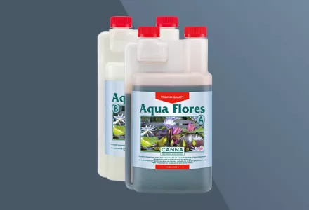 CANNA Aqua Flores