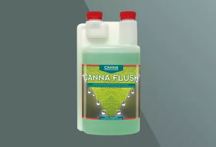 CANNA FLUSH