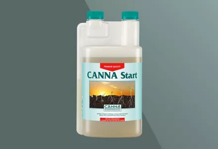 CANNA Start