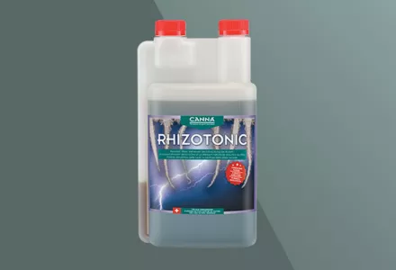 CANNA RHIZOTONIC