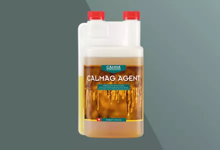 CANNA CALMAG AGENT