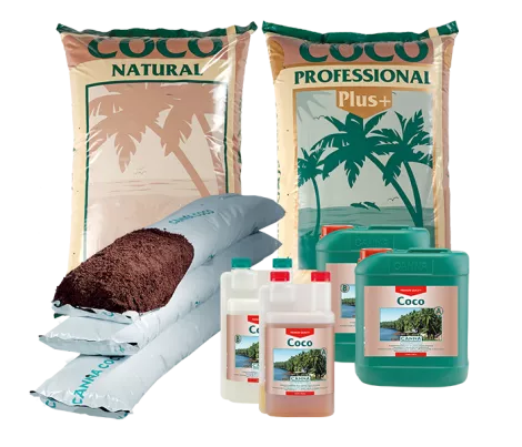 CANNA COCO
