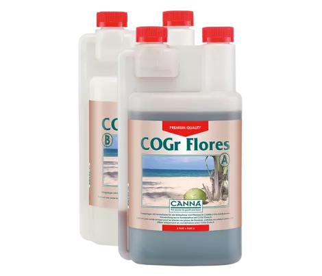 CANNA COGr Flores