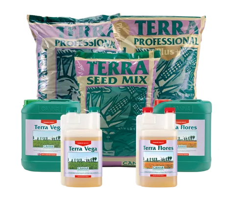 CANNA TERRA